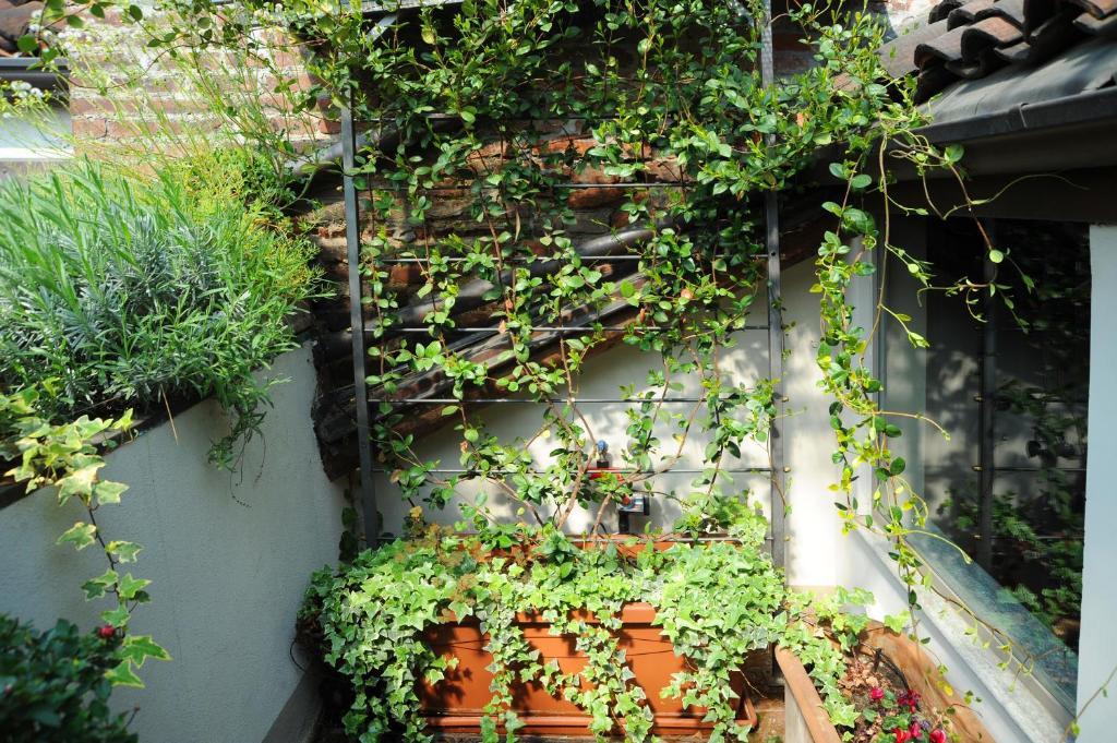 Bb Le Due Matote Maison d'hôtes Turin